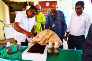 organic bacterium culture